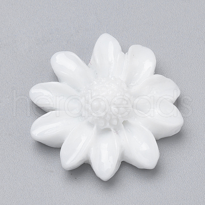 Resin Cabochons CRES-Q197-21H-1