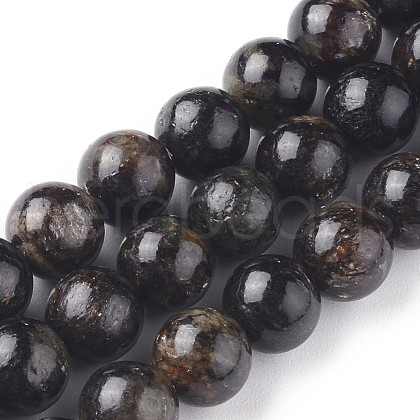Natural Biotite Beads Strands G-L528-06C-1