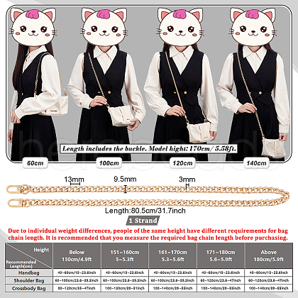 Bag Strap Chains IFIN-PH0024-02G-1