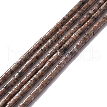 Natural Labradorite Beads Strands G-A201-A01-1