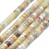 Natural Crazy Lace Agate Beads Strands G-F631-A22-1