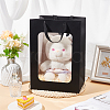 Paper Visible Window Gift Bags with Rope Handles ABAG-WH0040-14A-5