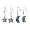 Natural Abalone Shell/Paua Shell Dangle Earring EJEW-JE05915-1