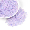Frosted Glass Seed Beads SEED-N008-05G-1