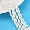Electroplated Shell Pearl Beads Strands BSHE-Z009-12-1
