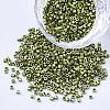 Glass Cylinder Beads SEED-Q036-01A-C05-1