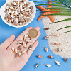 100Pcs 10 Styles Natural Shell Pendants PALLOY-AB00159-3