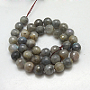 Natural Labradorite Beads Strands G-G213-10mm-03-2