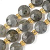 Natural Labradorite Beads Strands G-G271-C09-10mm-2