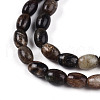 Natural Biotite Beads Strands G-N346-02A-02-4