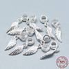 925 Sterling Silver European Dangle Charms STER-T002-67S-3