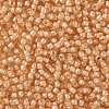 TOHO Round Seed Beads SEED-TR08-0955-2