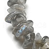 Natural Labradorite Chip Beaded Stretch Bracelet G-H294-01B-04-2