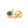 304 Stainless Steel Charms STAS-Z115-01G-14-2