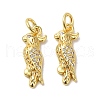 Parrot Rack Plating Brass Micro Pave Clear Cubic Zirconia Pendants KK-K377-65G-1