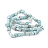 Natural Larimar Beads Strands G-K203-48-4