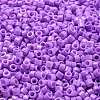Baking Paint Glass Seed Beads SEED-S042-05A-23-3