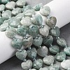 Natural Amazonite Beads Strands G-P570-E15-01-1