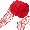 Polyester Lace Trim OCOR-A004-01R-1