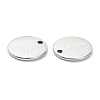 Non-Tarnish 304 Stainless Steel Charms STAS-P280-06P-2
