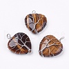 Natural Tiger Eye Pendants G-G713-F10-1