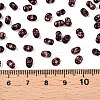 Picasso Spray Painted Glass Seed Beads SEED-T006-04-23-4