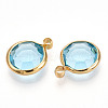 K9 Glass Charms GLAA-T023-37A-05-2