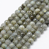 Natural Labradorite Beads Strands G-P322-28-8mm-1