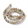 Natural Quartz Beads Strands G-P488-04B-4