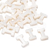 Natural Freshwater Shell Beads SHEL-T012-59I-3