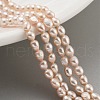 Natural Cultured Freshwater Pearl Beads Strands PEAR-P062-01G-1