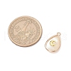 3Pcs 3 Styles Natural Paua Shell Teardrop Pendants PALLOY-JF03762-3