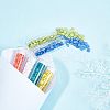  540cs 12 Style 2-Hole Glass Seed Beads SEED-NB0001-44-5