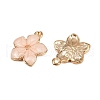 Zinc Alloy Enamel Pendants X-PALLOY-I124-10G-A-1-2
