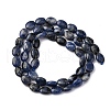 Natural Sodalite Beads Strands G-Z006-A39-3
