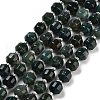 Natural Moss Agate Beads Strands G-NH0010-B01-01-2