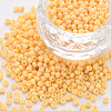8/0 Opaque Glass Seed Beads SEED-S048-N-018-1