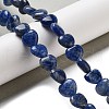Natural Sodalite Beads Strands G-R190-10mm-37-2