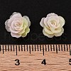 Luminous Resin Decoden Cabochons RESI-K036-53-3