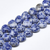 Natural Blue Spot Jasper Beads Strands G-S357-E01-06-1