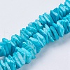 Natural Sea Shell Beads Strands BSHE-K012-08C-1