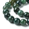 Natural Moss Agate Beads Strands GSR10mmC001-3