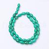 Natural Howlite Bead Strands G-P286-08-A-2
