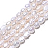 Natural Cultured Freshwater Pearl Beads Strands X-PEAR-N014-04E-2