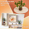 Unfinished Natural Beech Wood Cabochons for DIY Handmade WOOD-WH0125-12-6