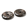 Natural Glaucophane Pendants G-P532-01A-05-2