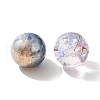 Mixed Style Glass Beads GLAA-XCP0012-02I-2