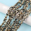 Natural Dalmatian Jasper Beads Strands X-G-G0003-B29-2