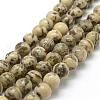 Natural Feldspar Bead Strands G-P295-02-8mm-1