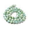 Natural Glass Beads Strands G-I247-32B-3